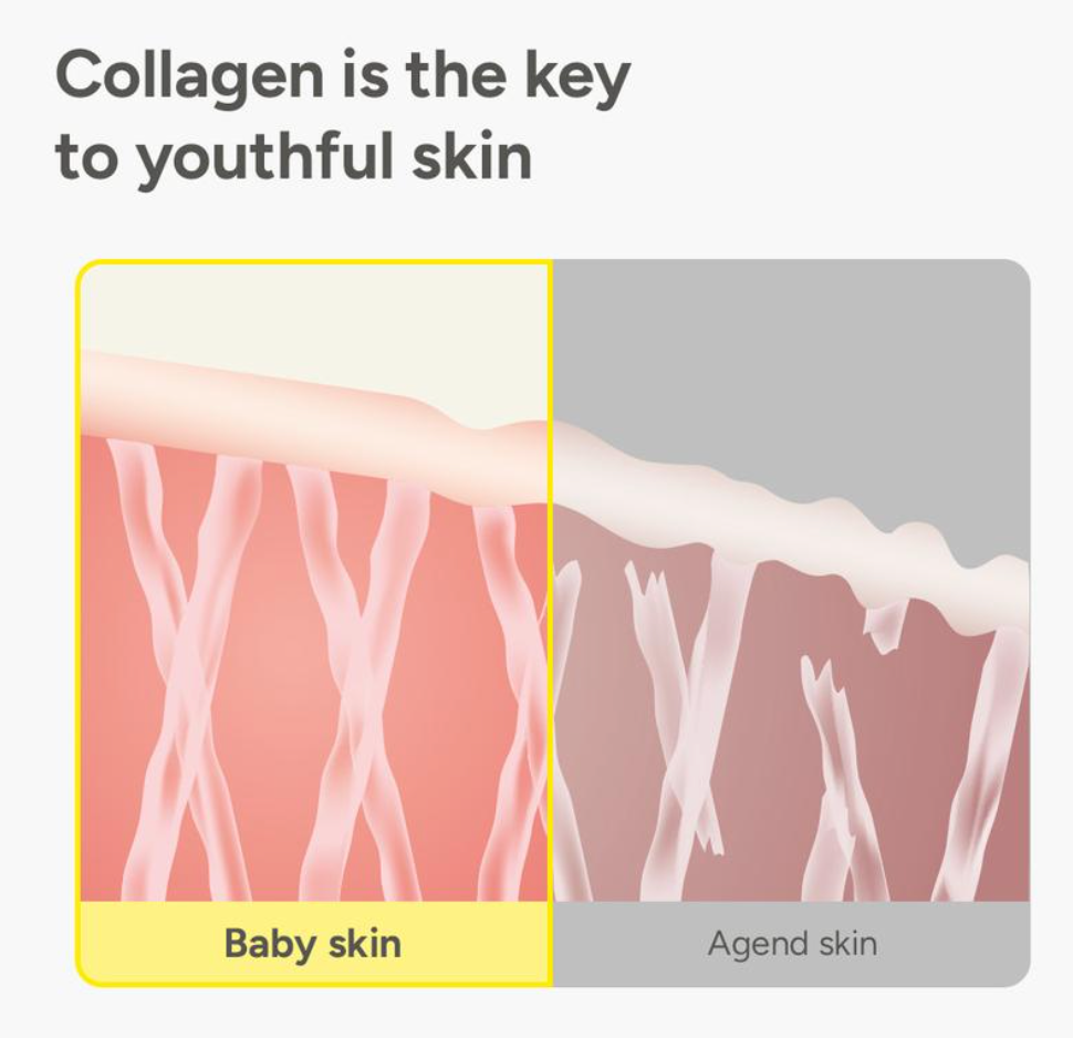 Beleura™ - Deep Collagen Cream In Serum