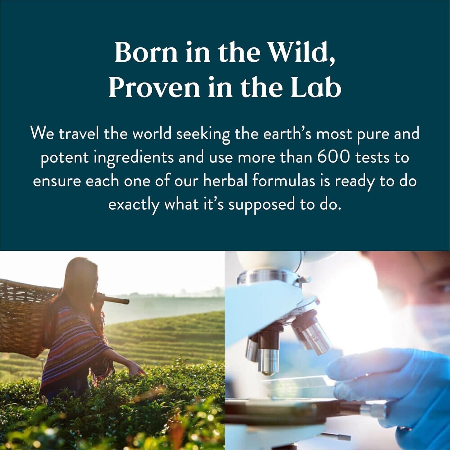 Natural Lymphatic Drainage Supplement