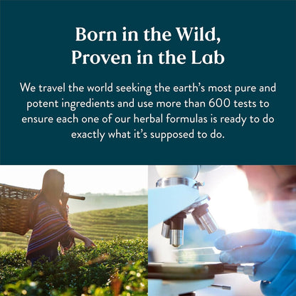 Natural Lymphatic Drainage Supplement